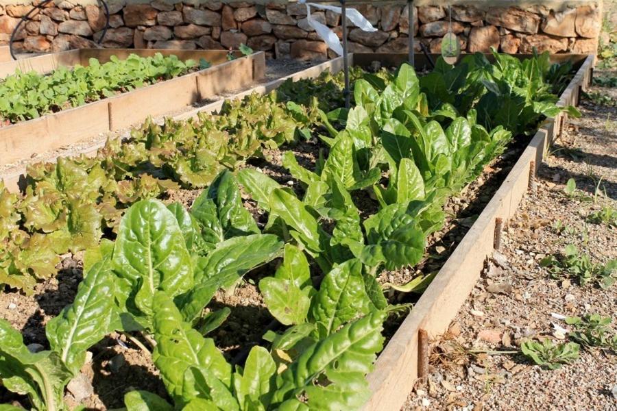 Centro De Agroecologia Y Medio Ambiente De Murcia Буйас Екстериор снимка