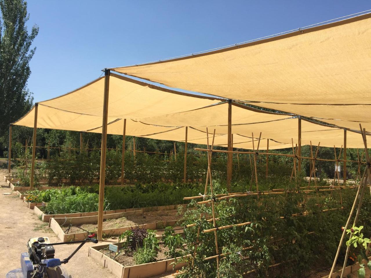 Centro De Agroecologia Y Medio Ambiente De Murcia Буйас Екстериор снимка