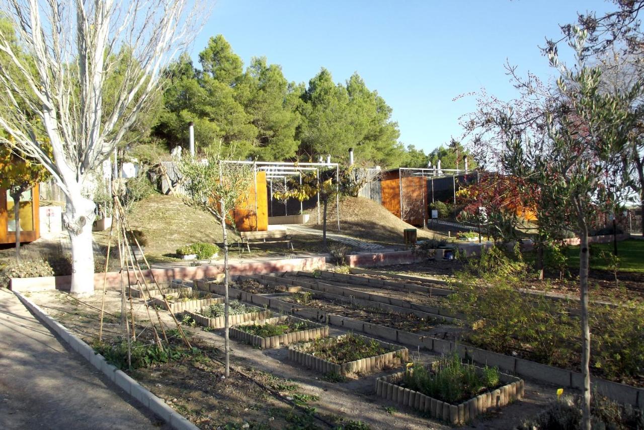 Centro De Agroecologia Y Medio Ambiente De Murcia Буйас Екстериор снимка