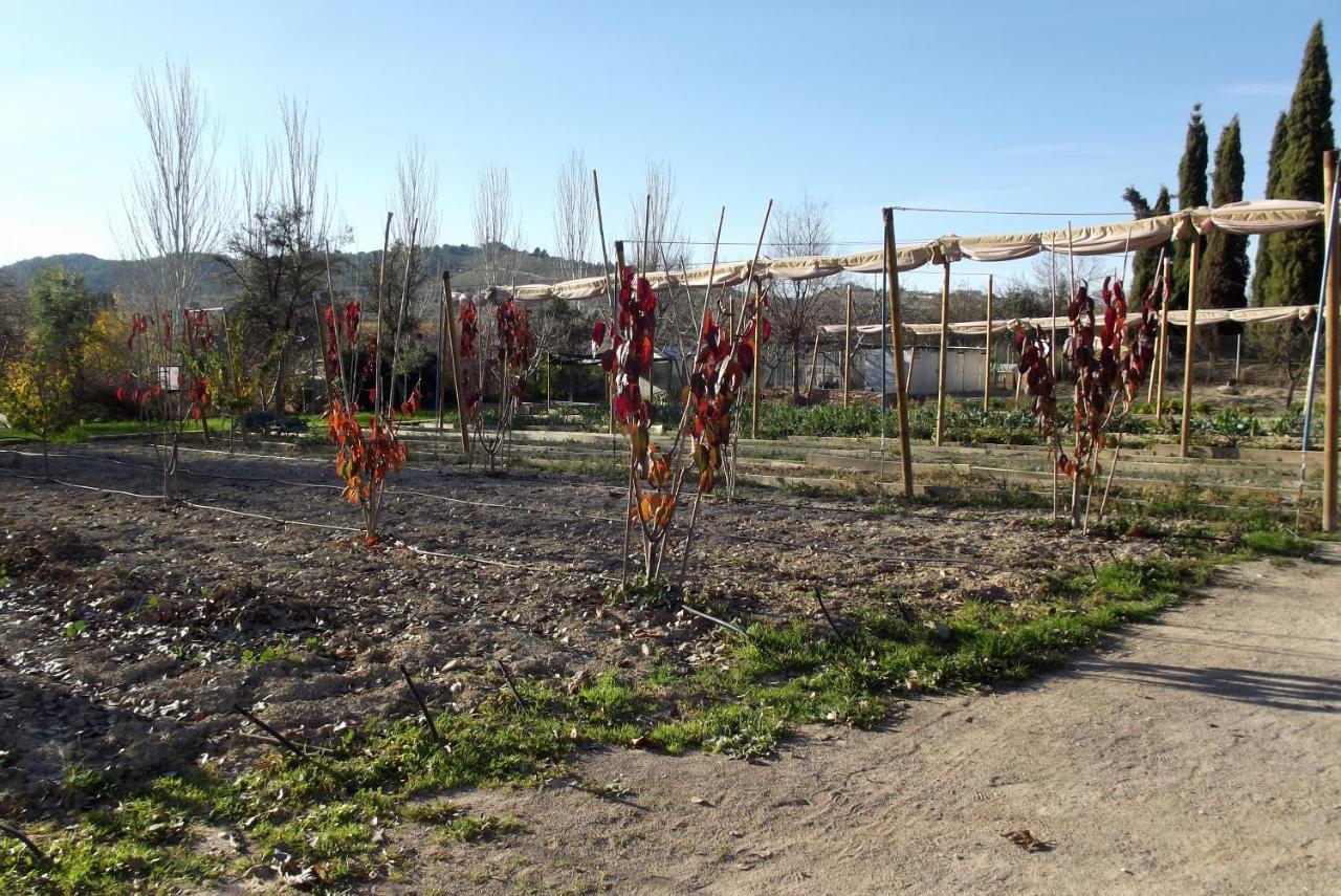Centro De Agroecologia Y Medio Ambiente De Murcia Буйас Екстериор снимка