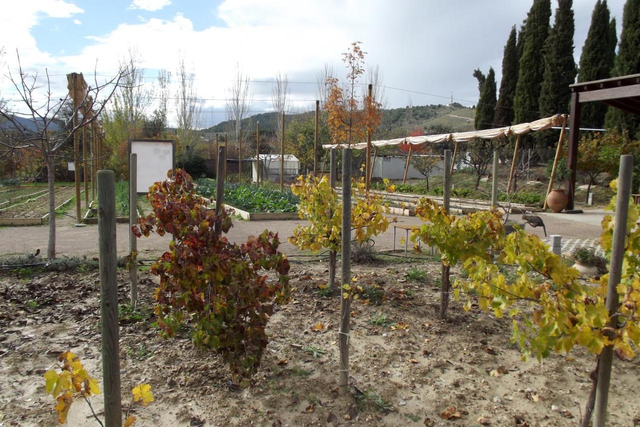 Centro De Agroecologia Y Medio Ambiente De Murcia Буйас Екстериор снимка