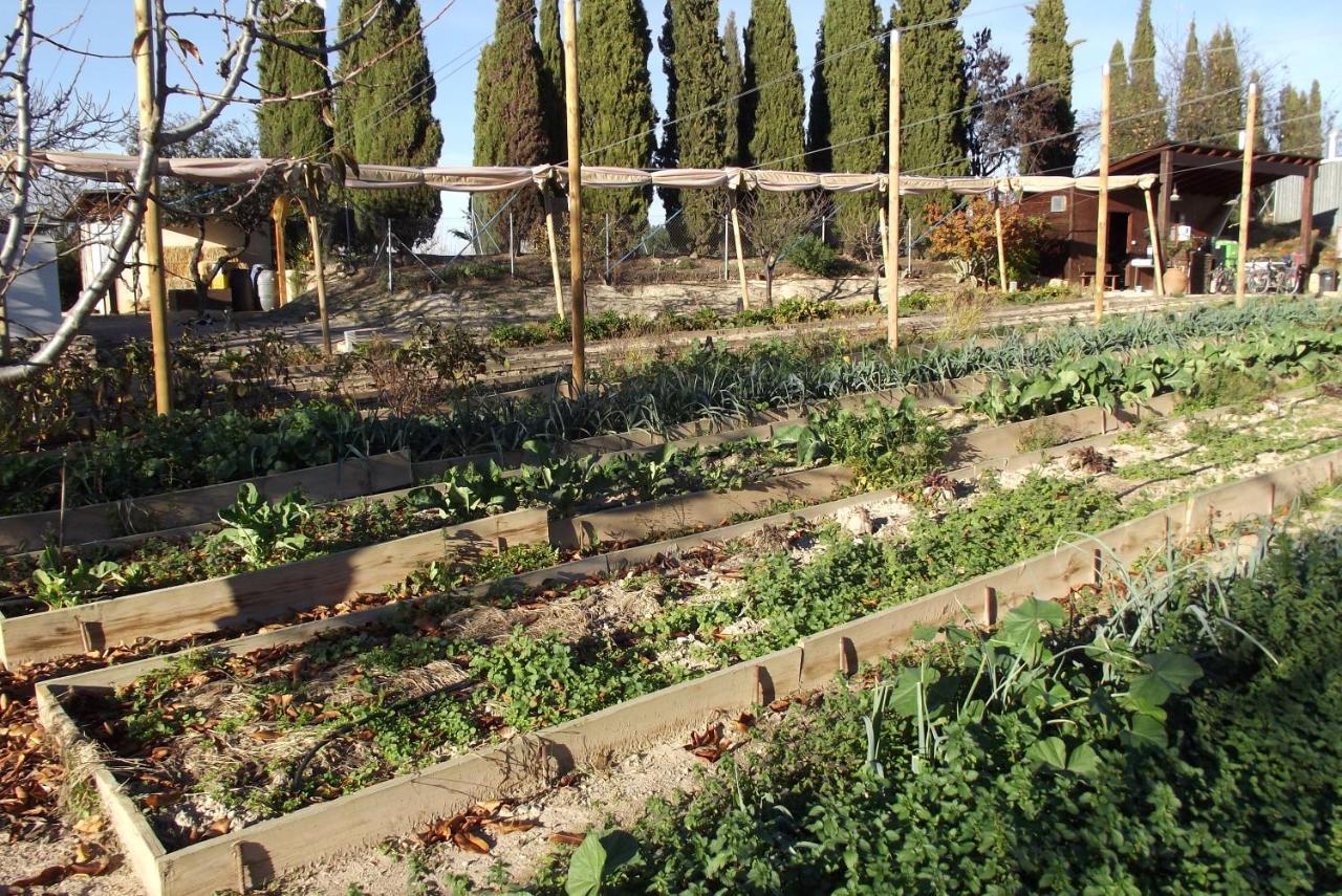 Centro De Agroecologia Y Medio Ambiente De Murcia Буйас Екстериор снимка